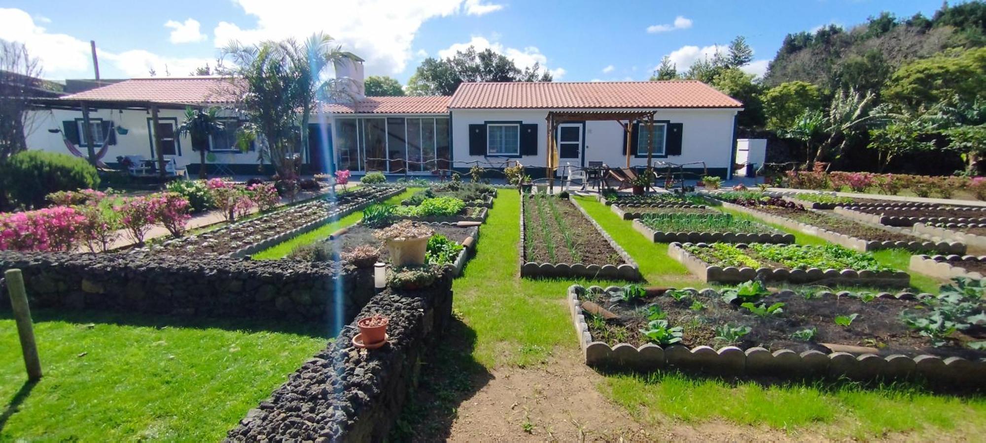 Quinta Dos Sentidos , Rustic Holiday Houses In São Vicente Ferreira Eksteriør bilde