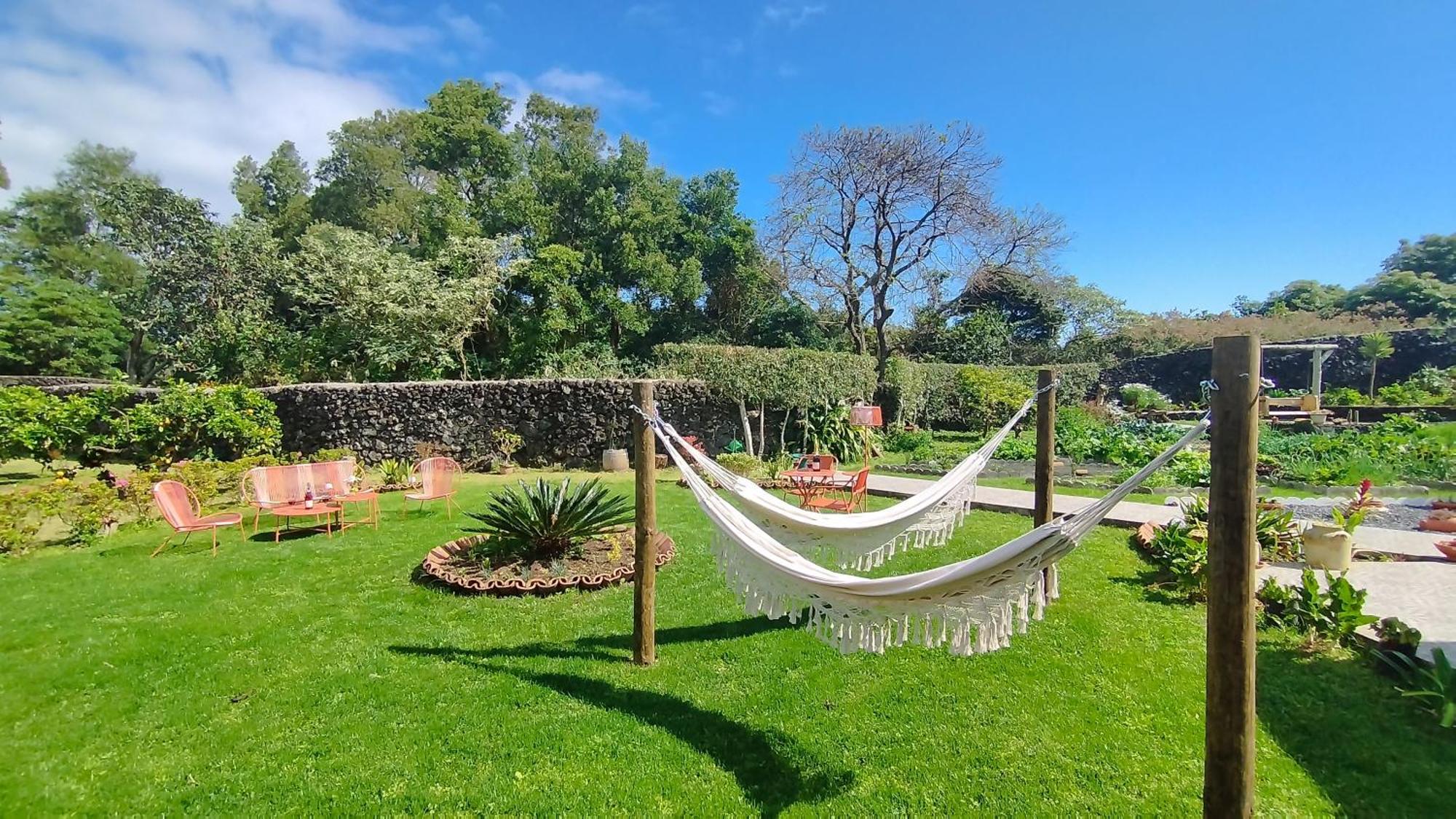Quinta Dos Sentidos , Rustic Holiday Houses In São Vicente Ferreira Eksteriør bilde