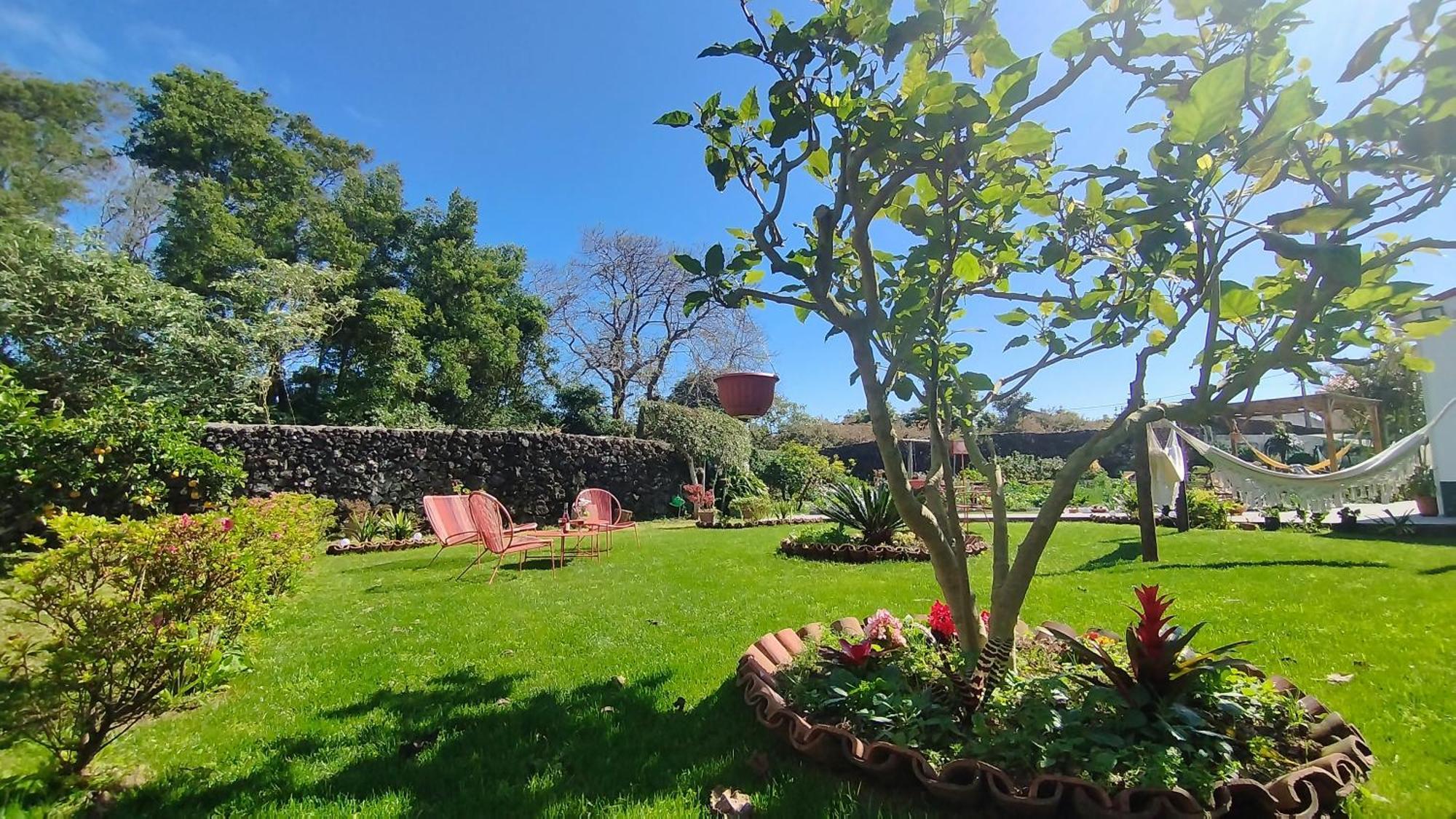 Quinta Dos Sentidos , Rustic Holiday Houses In São Vicente Ferreira Eksteriør bilde