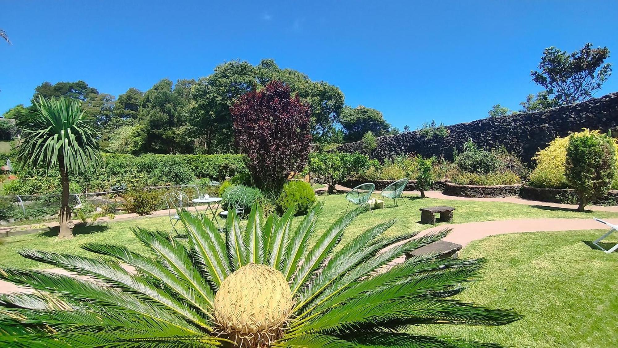 Quinta Dos Sentidos , Rustic Holiday Houses In São Vicente Ferreira Eksteriør bilde
