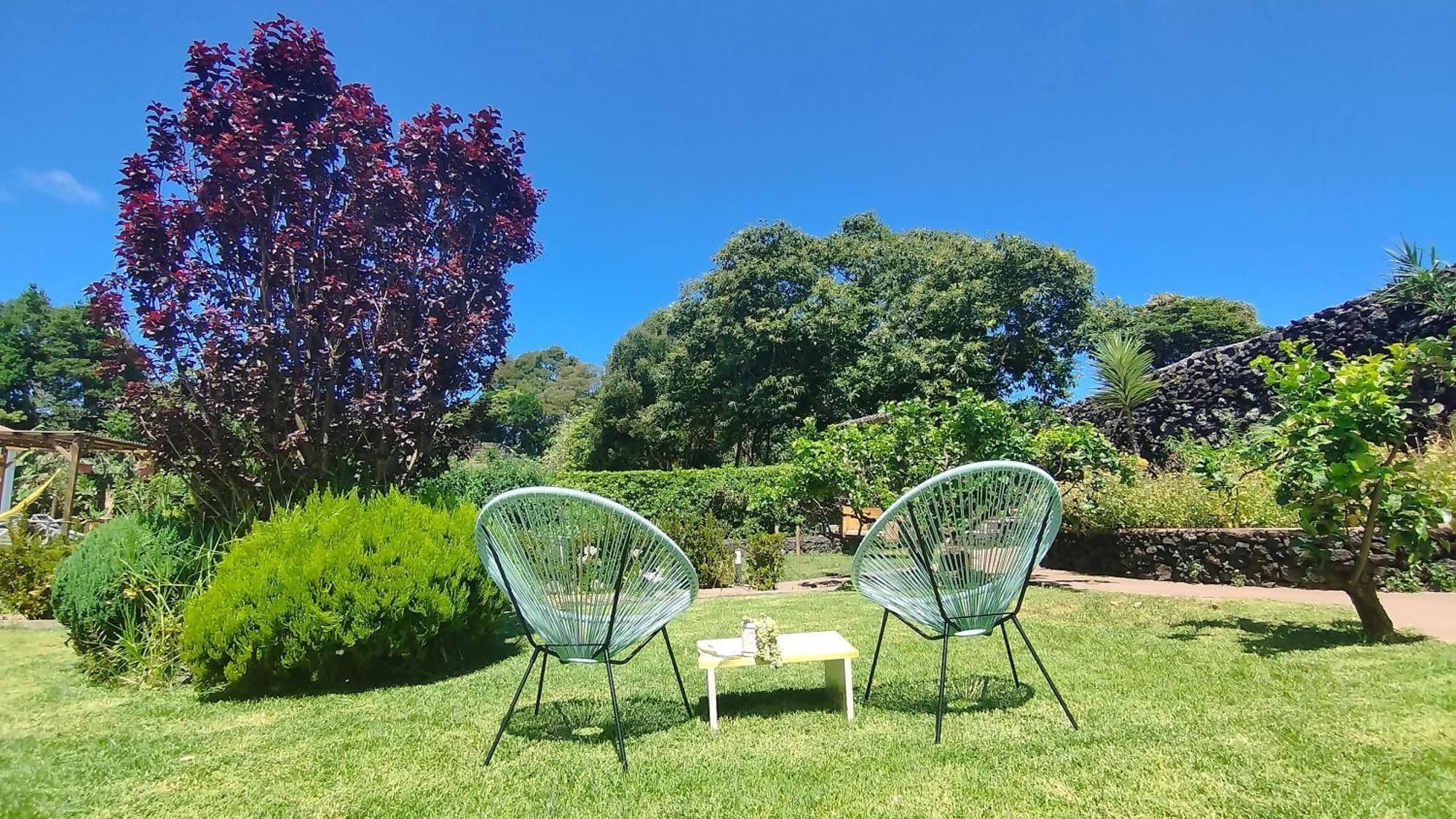 Quinta Dos Sentidos , Rustic Holiday Houses In São Vicente Ferreira Eksteriør bilde